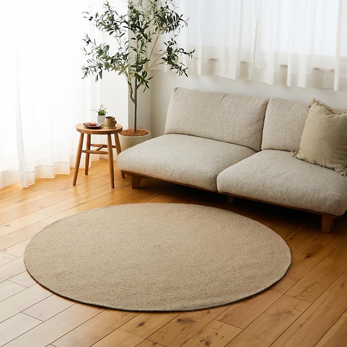 ロニア全体画像