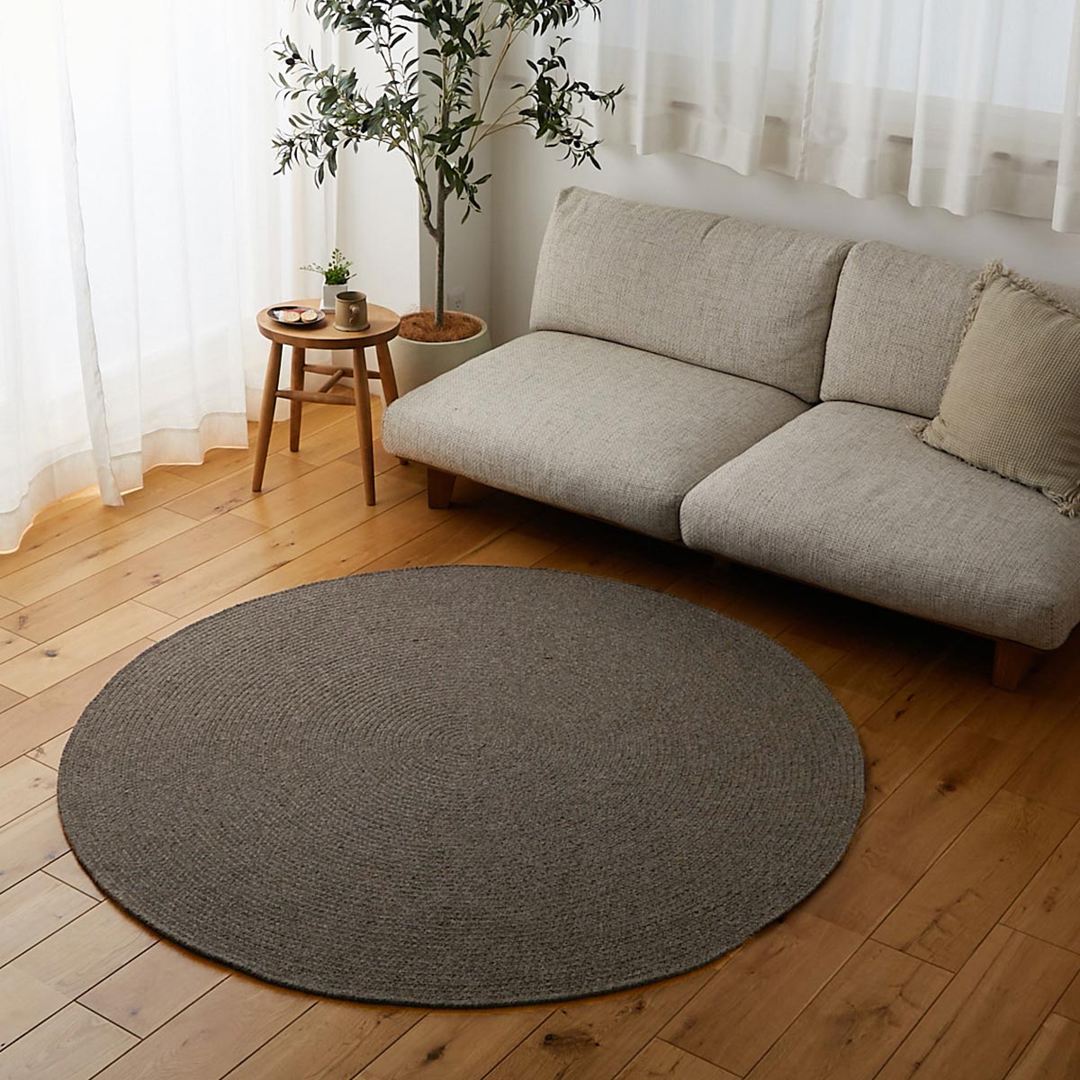 ロニア全体画像