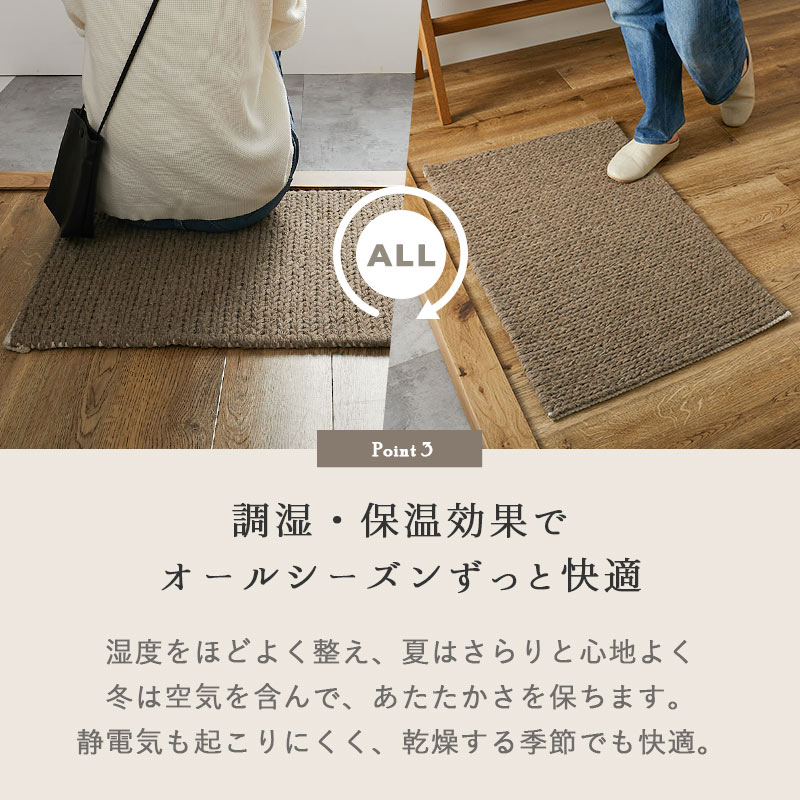 Ĵ�����ݲ����̤� �����륷�������Ŭ