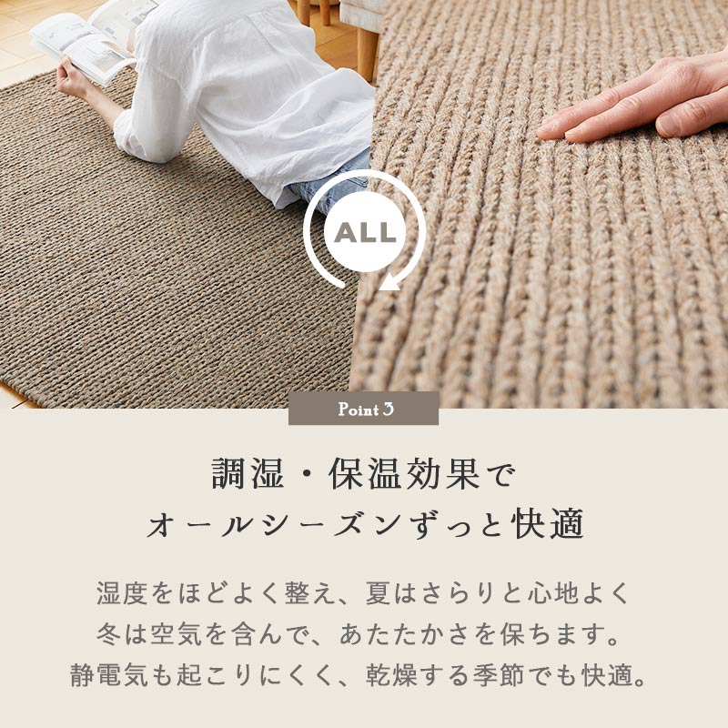 Ĵ�����ݲ����̤� �����륷�������Ŭ