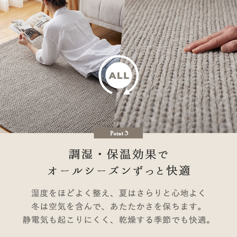 Ĵ�����ݲ����̤� �����륷�������Ŭ