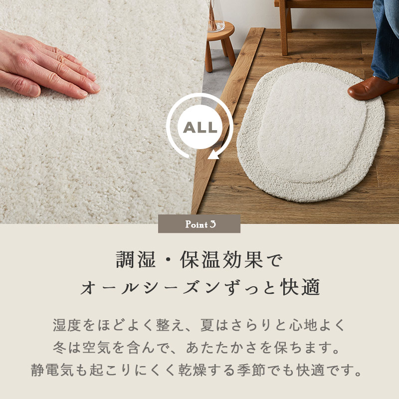 Ĵ�����ݲ����̤� �����륷�������Ŭ