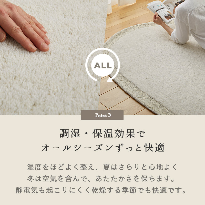 Ĵ�����ݲ����̤� �����륷�������Ŭ