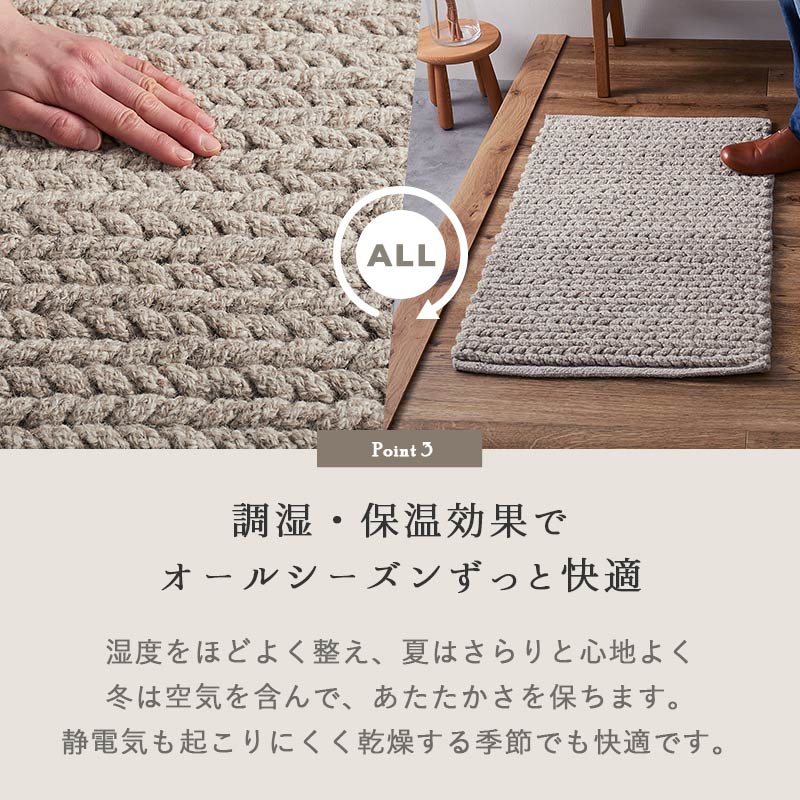 Ĵ�����ݲ����̤� �����륷�������Ŭ