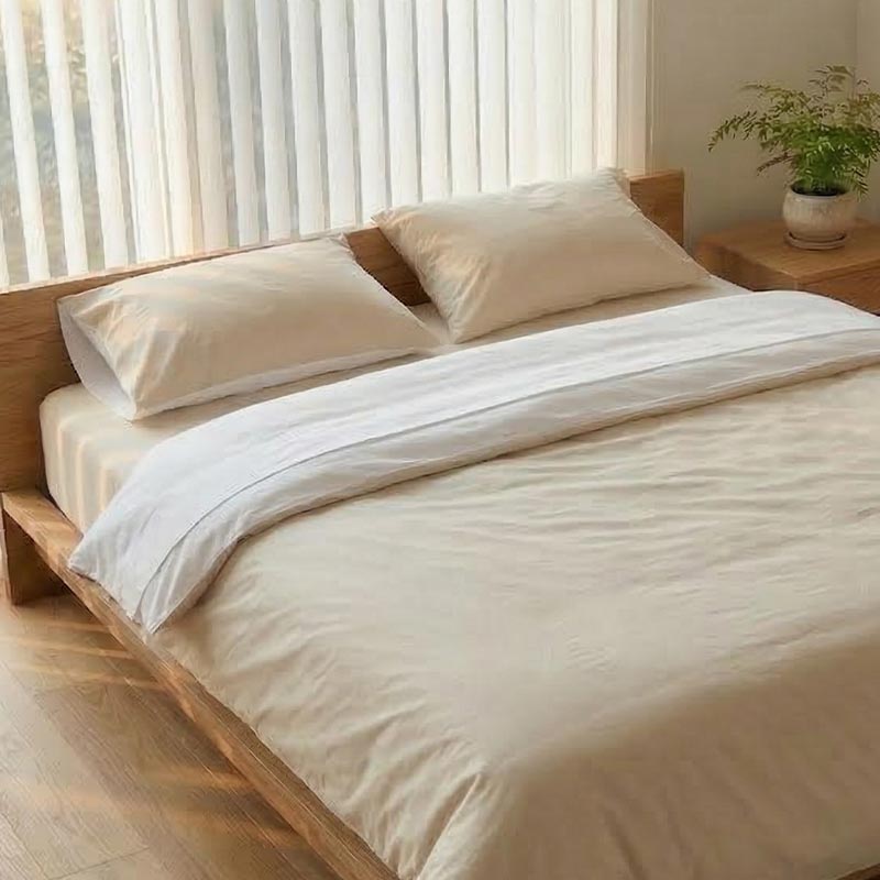 ���֥륵�����Υ��С�����Ѥ��Ƥ���٥åɤΥ��᡼��