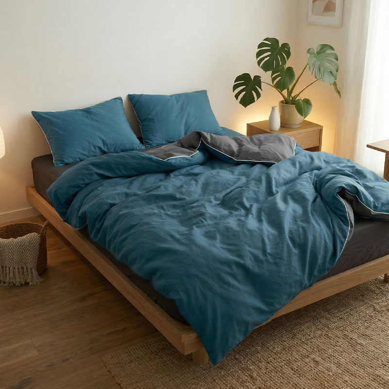 �֥롼 ɽ¦�Υǥ�����ܺ�