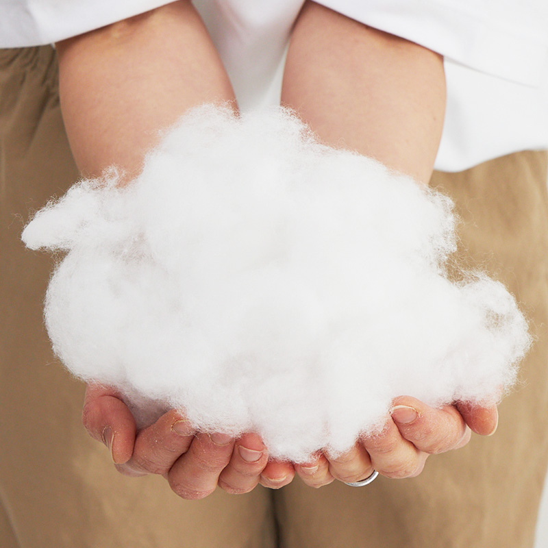 �Ȥ��դ����̩��1/5�κ٤������࿷�����Ρ֤Ȥ��ߡ�