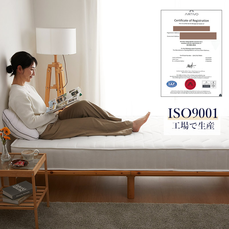 ��ݵ���ISO9001���������