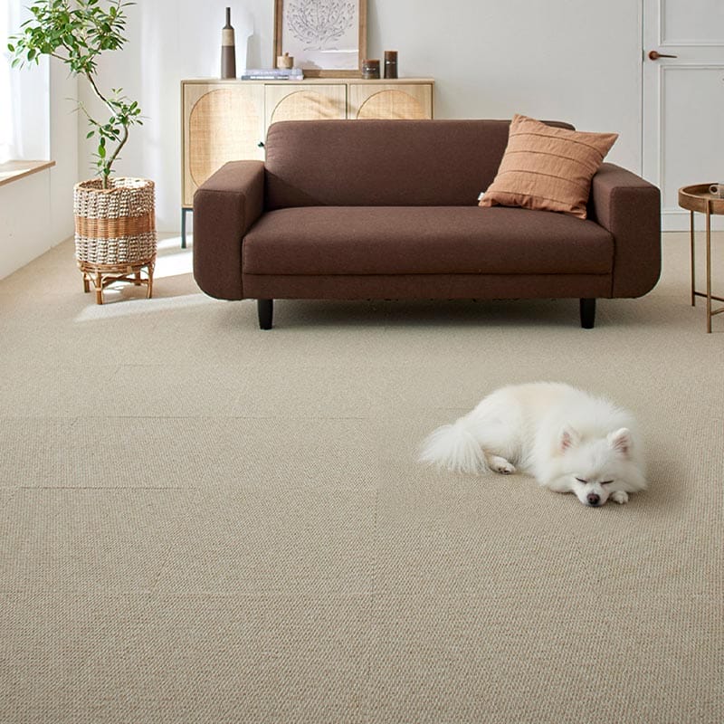 �ߤ��ͤ�Ƥ��륤�᡼��