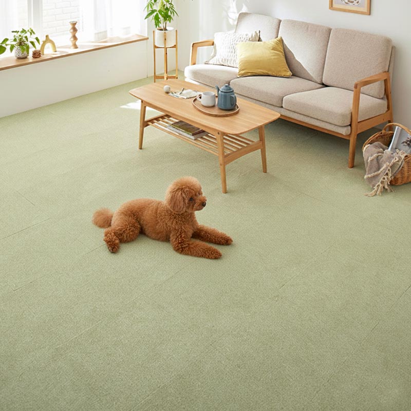 �ߤ��ͤ�Ƥ��륤�᡼��