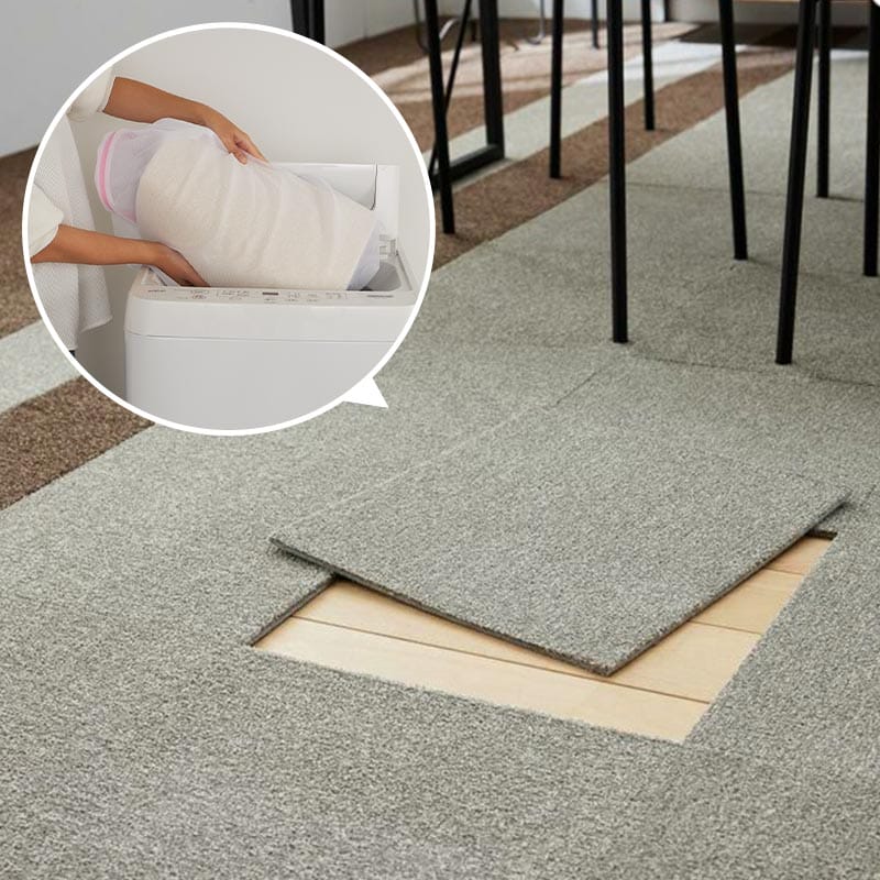 �������������뤳�Ȥ���������