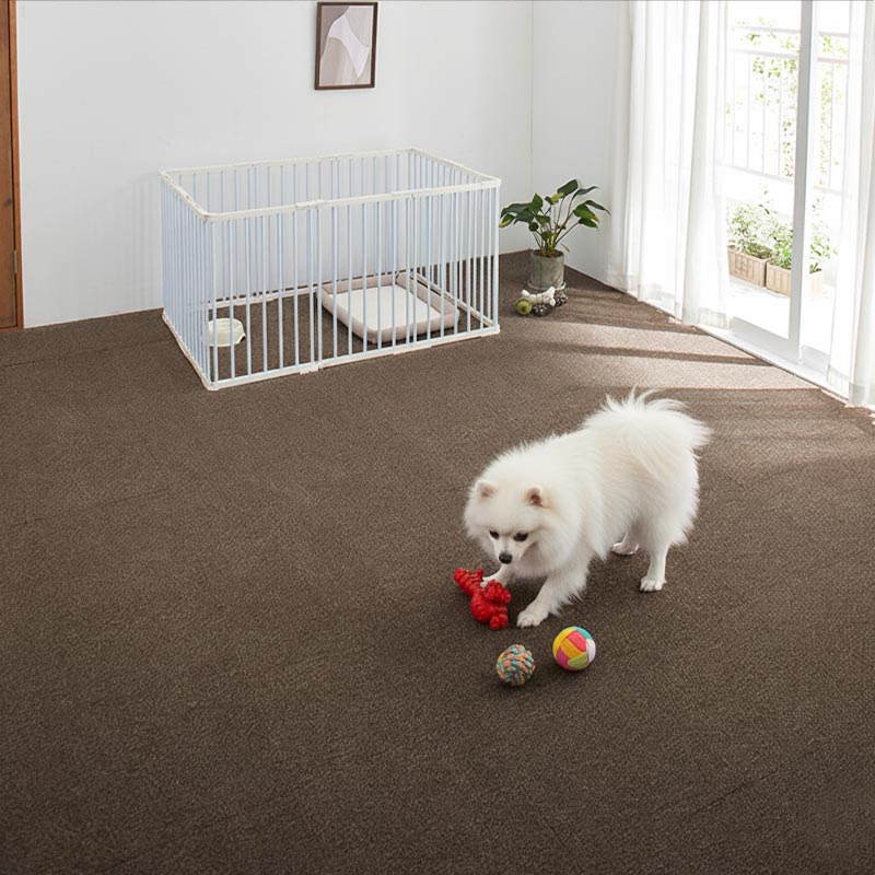 ����ͷ��Ǥ����ͻ�