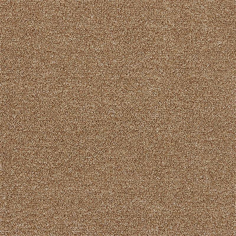 �١�����