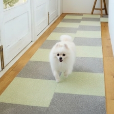 ���ե���