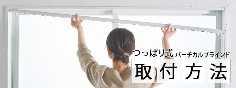 ������ˡ